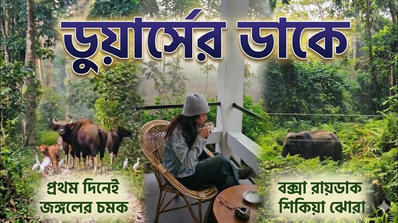 Offbeat Dooars - Day 1 | Buxa Safari | Raidak Nest | Sikia Jhora | Elephant Sighting