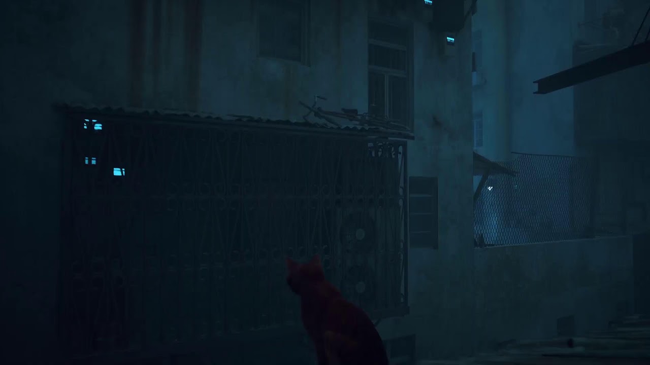 Gato