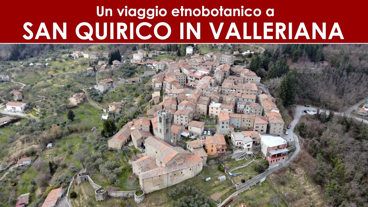 DIVINA FLORA - San Quirico in Valleriana