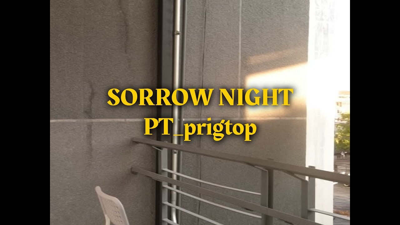 PT_prigtop - SORROW NIGHT prod.Mindog Beats [Official Lyric Video]