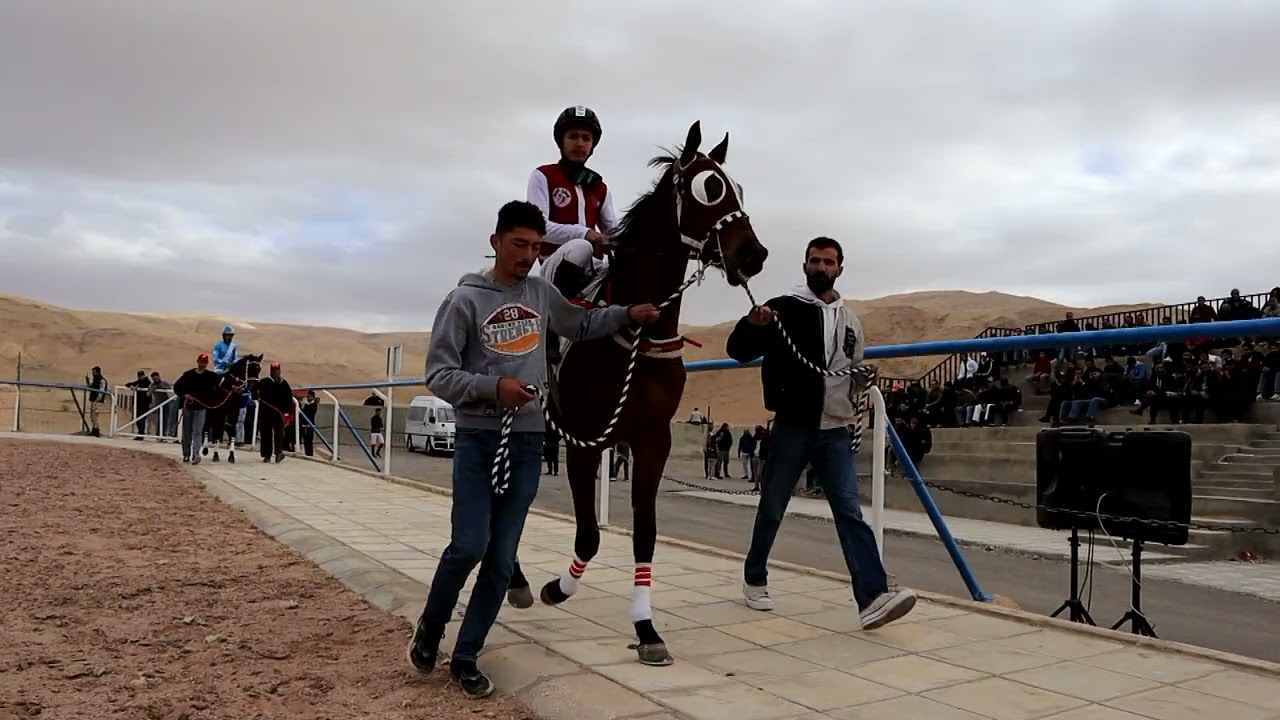 نادي مادبا للفروسيه 28-12-2024 (مركز وليد خرمه 0777305034)