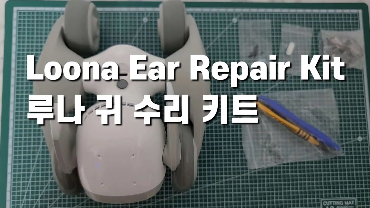 [장][로봇][루나] Loona Ear Repair Kit 루나 귀 수리 키트 모터 교체 리뷰