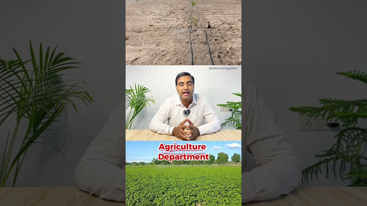 ड्रिप इरीगेशन पर बंपर सब्सिडी ! #microirrigation