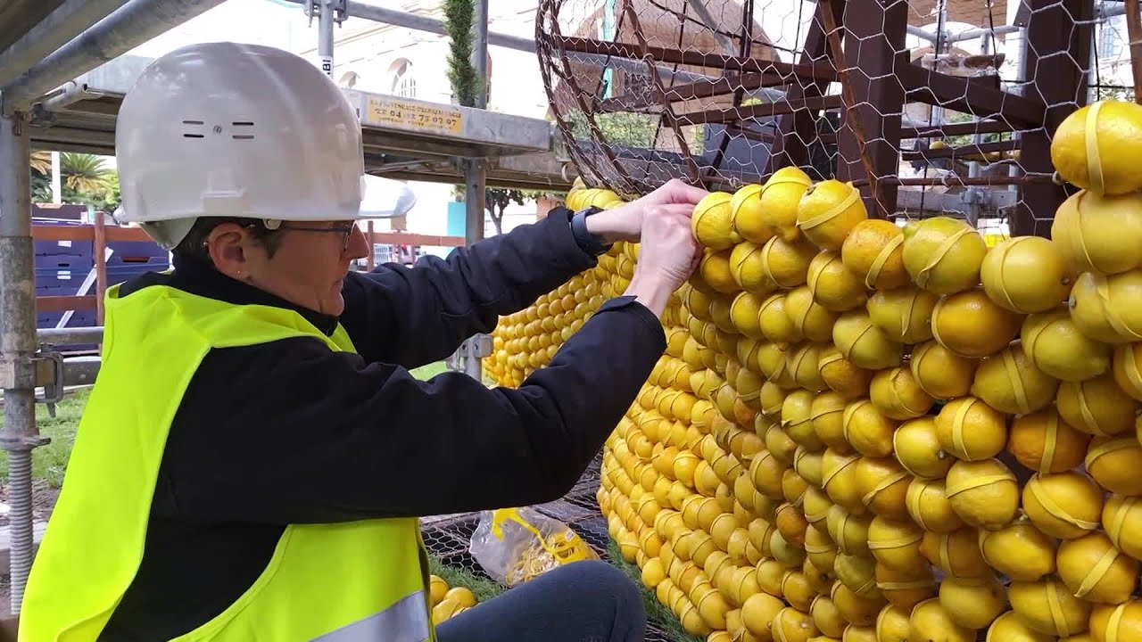 Menton : d'o&ugrave; viennent les agrumes de la f&ecirc;te du citron ?