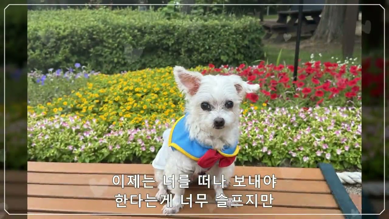 2026년 2월 22일