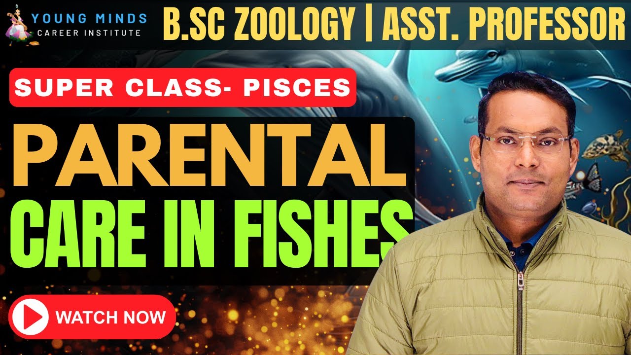 Parental Care in Fish | B.Sc Zoology