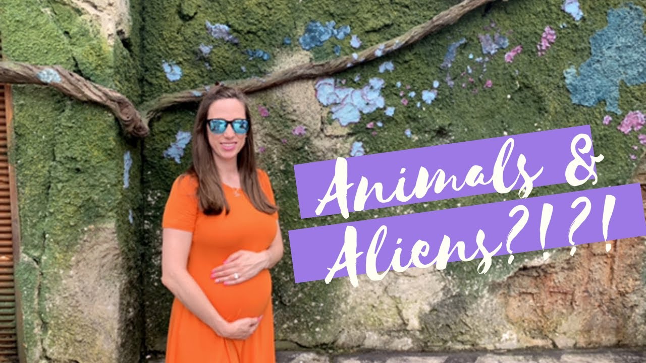 FUN THINGS TO DO AT ANIMAL KINGDOM | WALT DISNEY WORLD BABYMOON