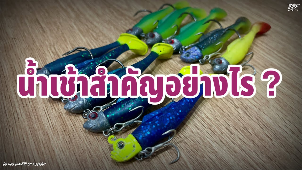 บุฟเฟ่ “ SPECIAL “ ep.1..น้ำเช้าสำคัญอย่างไร..จัดเซ็ทอุปกรณ์พร้อมแนะนำเทคนิค ไม่พลาดน้ำเช้า=ไม่แห้ว