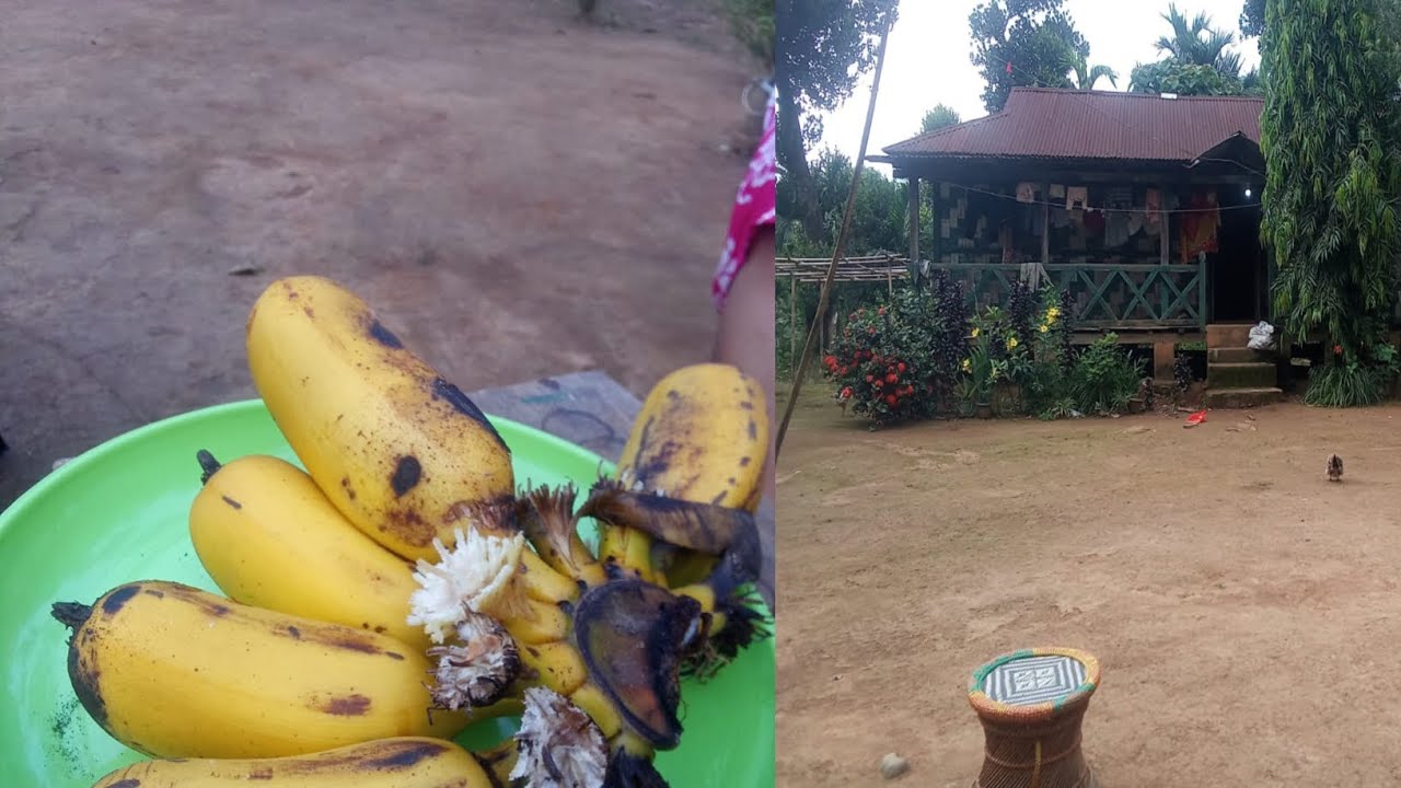 Sunday vlog ripengskani nokchi  napakbaa Asanang