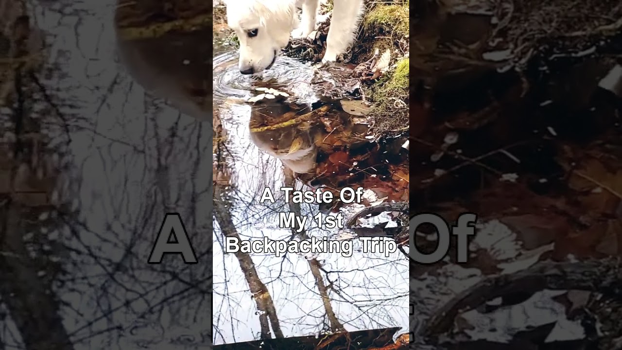 A TASTE Of My 1st Backpacking Puppy Adventure. 