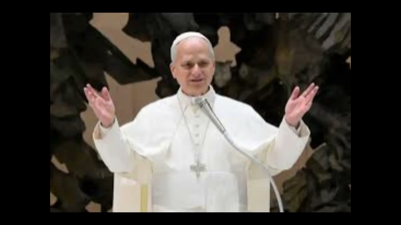 Vaticano II en 2026, Catequesis del Papa León
