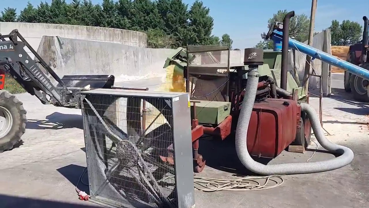 Pastone integrale di mais e mulino