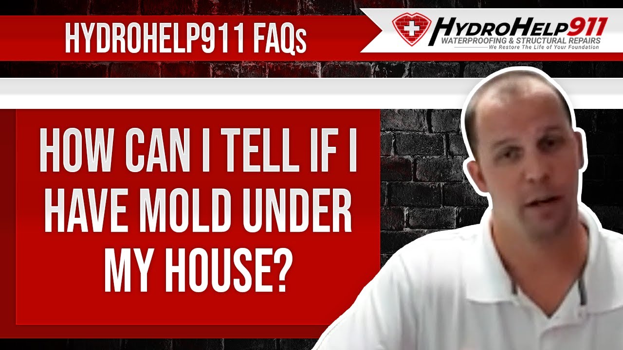 How Can I Tell if I Have Mold Under My House? | HydroHelp911 FAQ