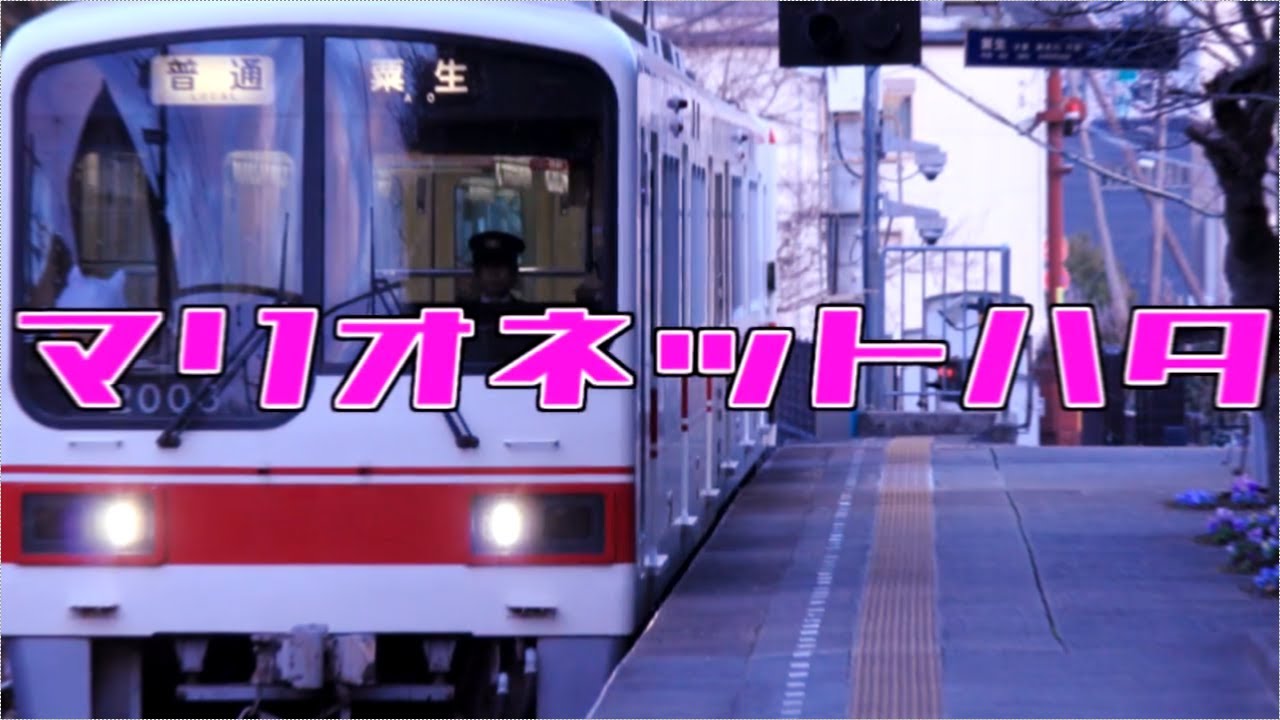 マリオネットハタ