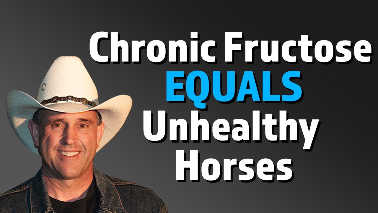 Fructose Is Damaging Our Horses - Part 1 by Geoff Tucker, DVM.