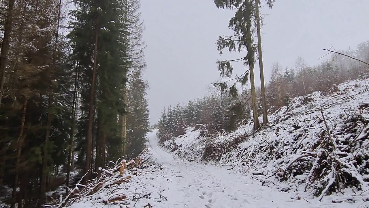 Winterwandern im Wald (Derental, Solling Gebirge)
