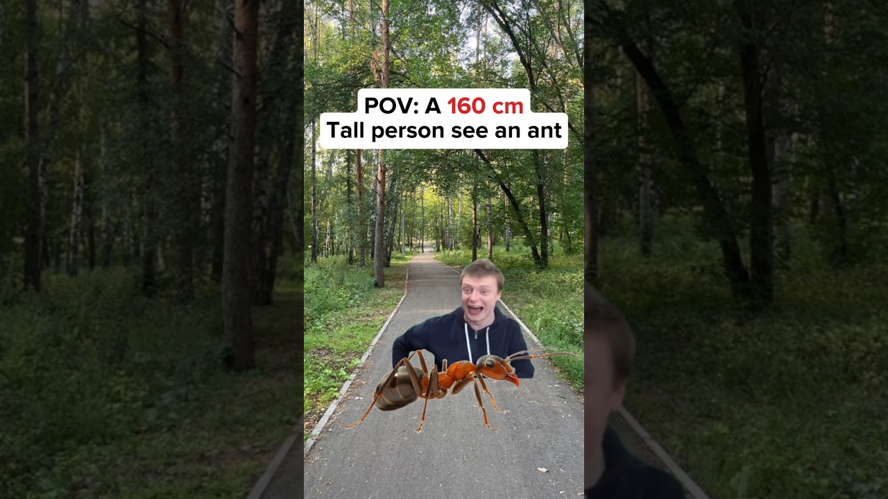 Pov: A 180cm / 160cm Tall person see an ant #funny #memes #shorts