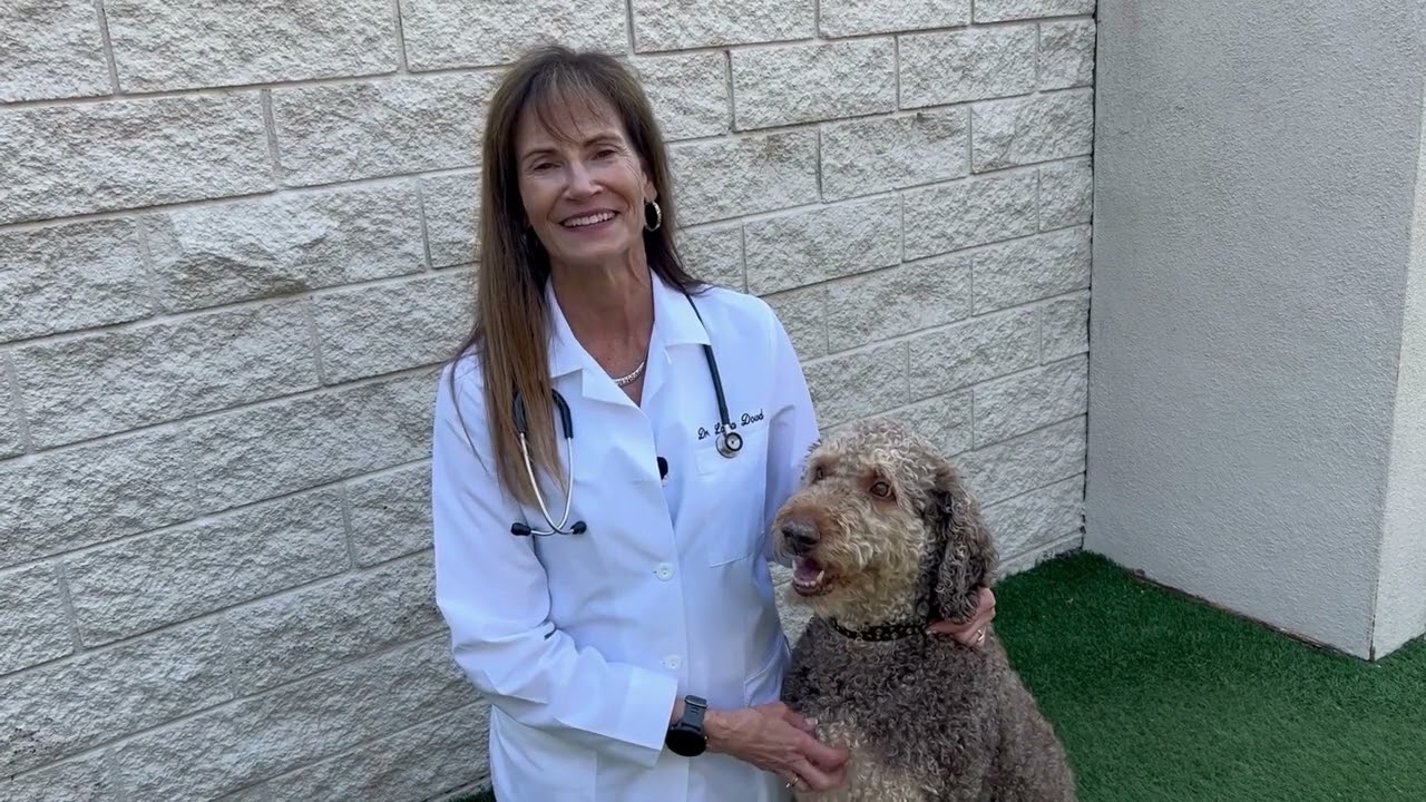 Get To Know Dr. Laura Dowd