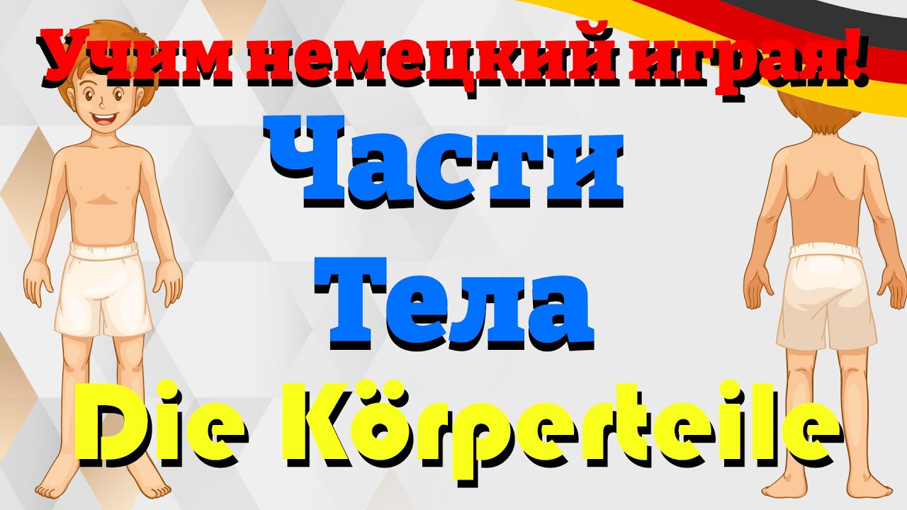 Части Тела - Die Körperteile (Учим немецкий: Словарный запас)