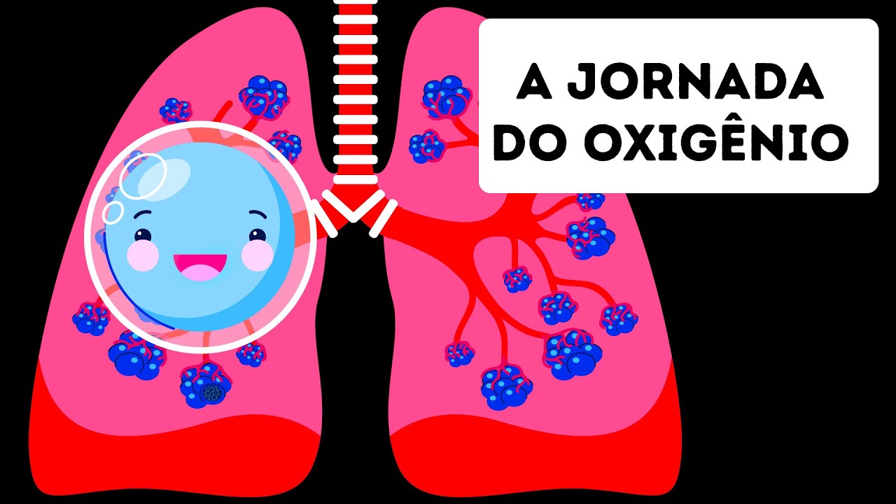 A Jornada do Oxigênio Através do Corpo Humano