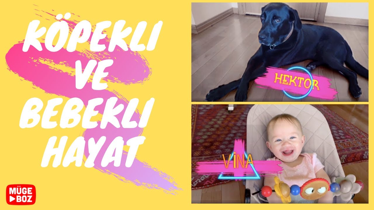 KÖPEKLİ VE BEBEKLİ HAYAT/ Vina Ek Gıdaya Başladı! Ev Yapımı Yoğurt...
