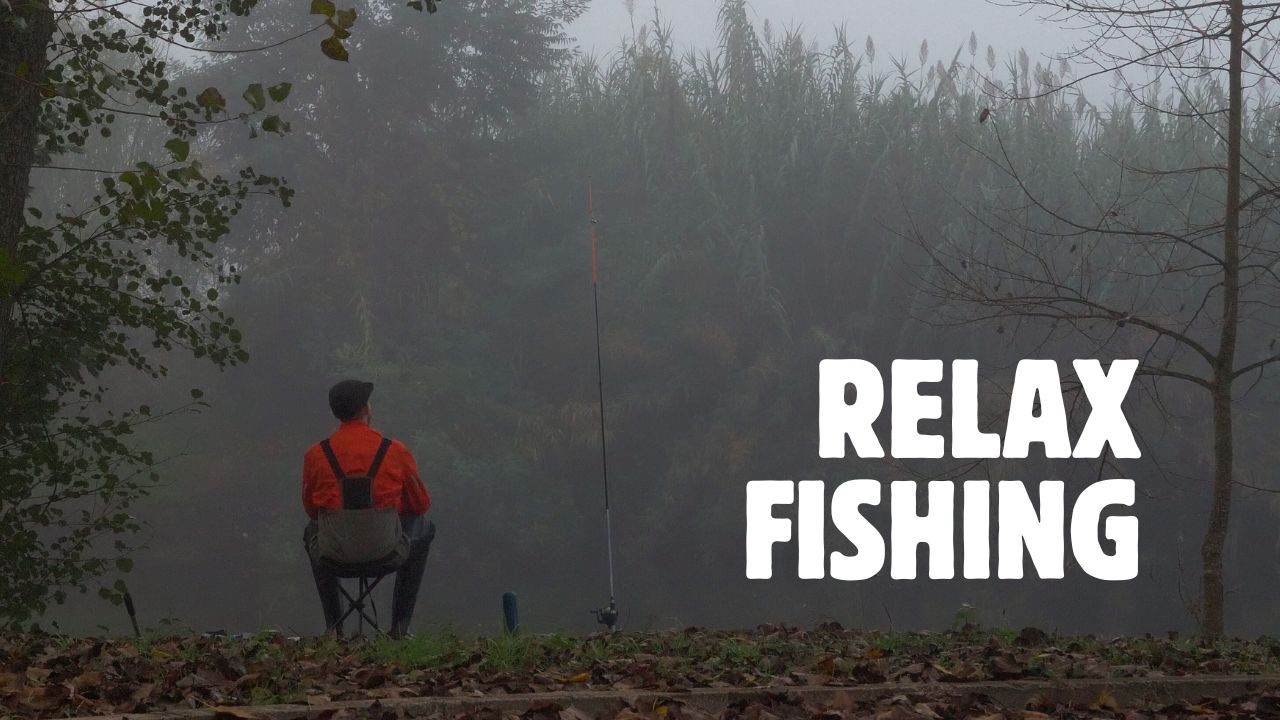 Bottom fishing for carp on a foggy morning: relaxing sounds and warm coffee