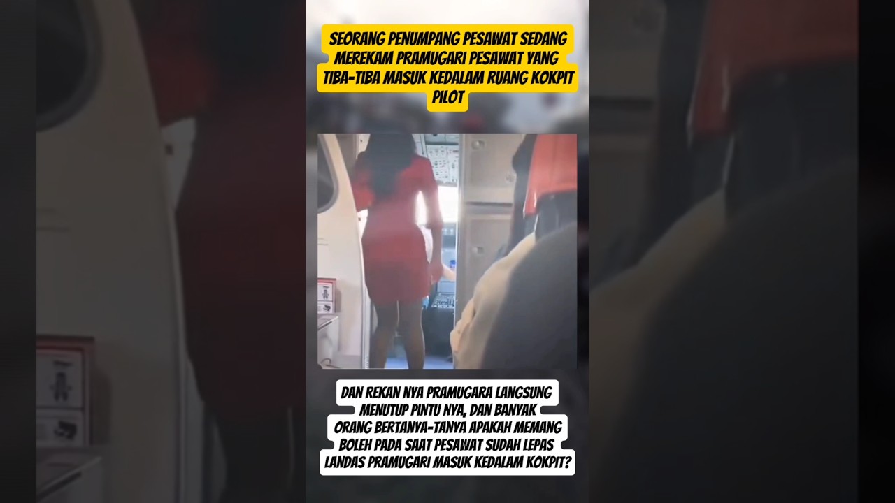 seorang pramugari masuk ke ruangan kokpit #trending #viral #viralvideo