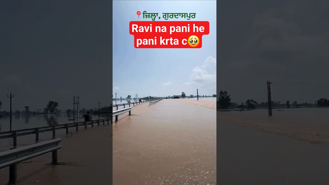 Bhut Akoha bhulan sb kj😢:🌊 Ravi Dariya Flood in Gurdaspur | Punjab Flood 2025