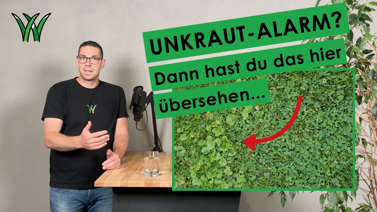 Unkraut-Alarm nach der Rasenneuanlage? Dann hast du das hier übersehen …