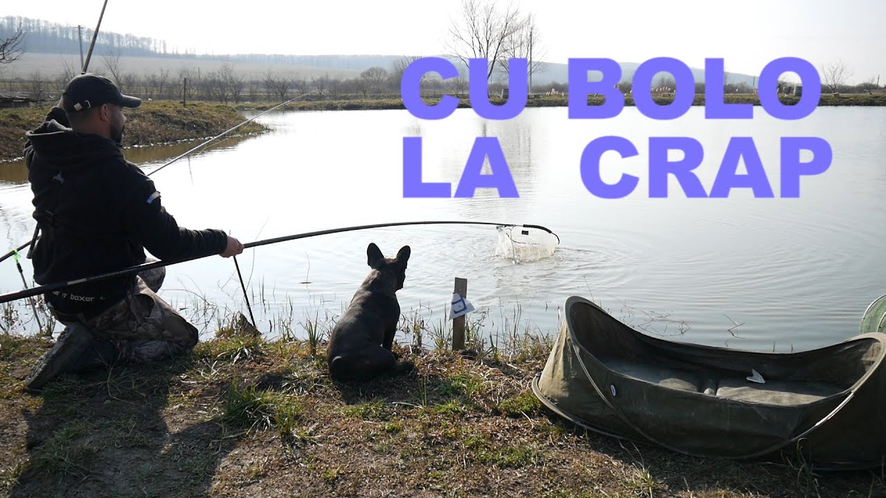 Pescut crap si caras la pluta. Am momit cu rame tocate.