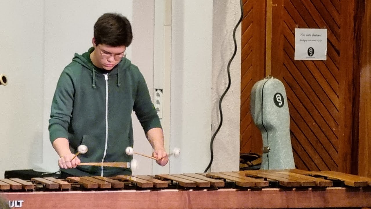 Ziv Beauquesne - THE CAMINO op MARIMBA