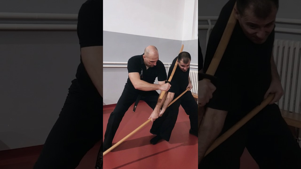 Boken vs bo #ninjutsu #shadowwarrior #bujinkan #kenjutsu #martialarts #ninja #katana