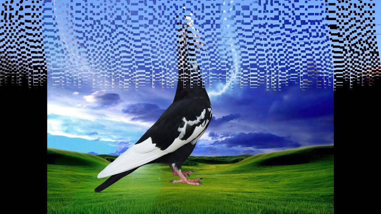 Пазарджишки ролер