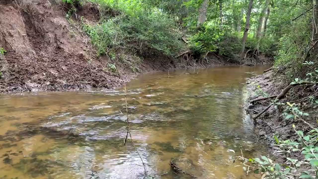 107 Acre Ranch for Sale in Caldwell, TX | Hunting, Cattle & Creek Frontage