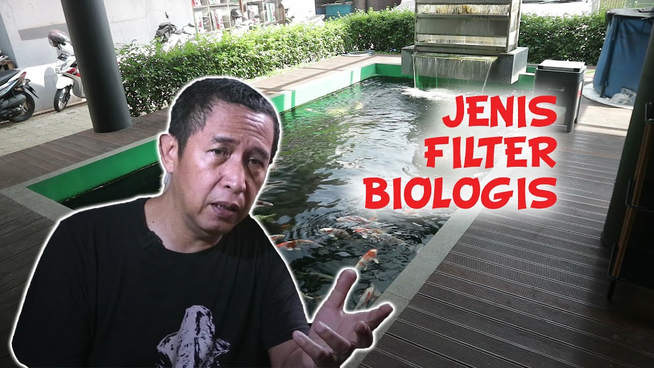 JENIS FILTER BIOLOGIS KOLAM KOI | Tutorial Kolam Koi (40)