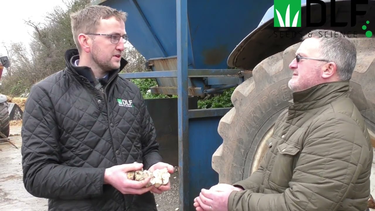 DLF Feeding beet preparation with Bill Ryan
