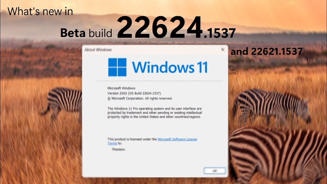 Windows 11 Beta builds 22624.1537 + 22621.1537 and what's new - Access keys and more