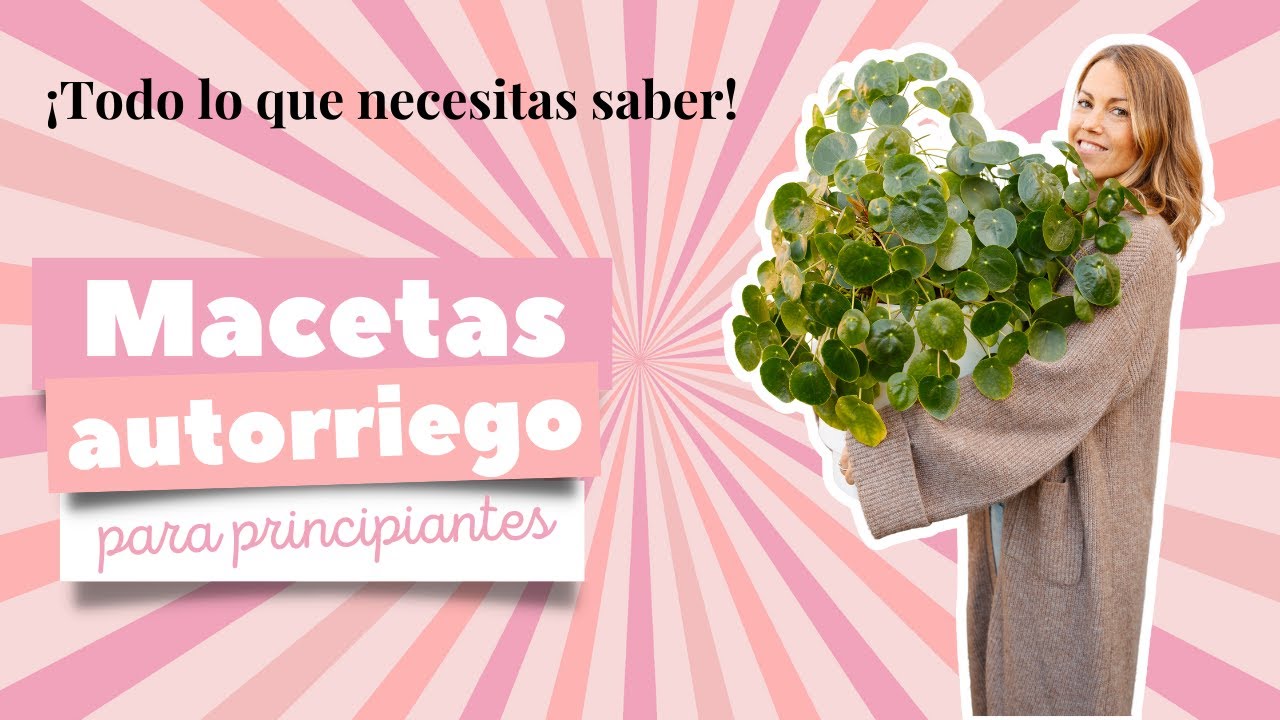 ¿Qué plantas poner en macetas de autorriego?