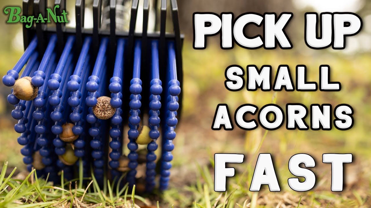 Use the Small Acorn Stab-A-Nut to Pick Up Small Acorns