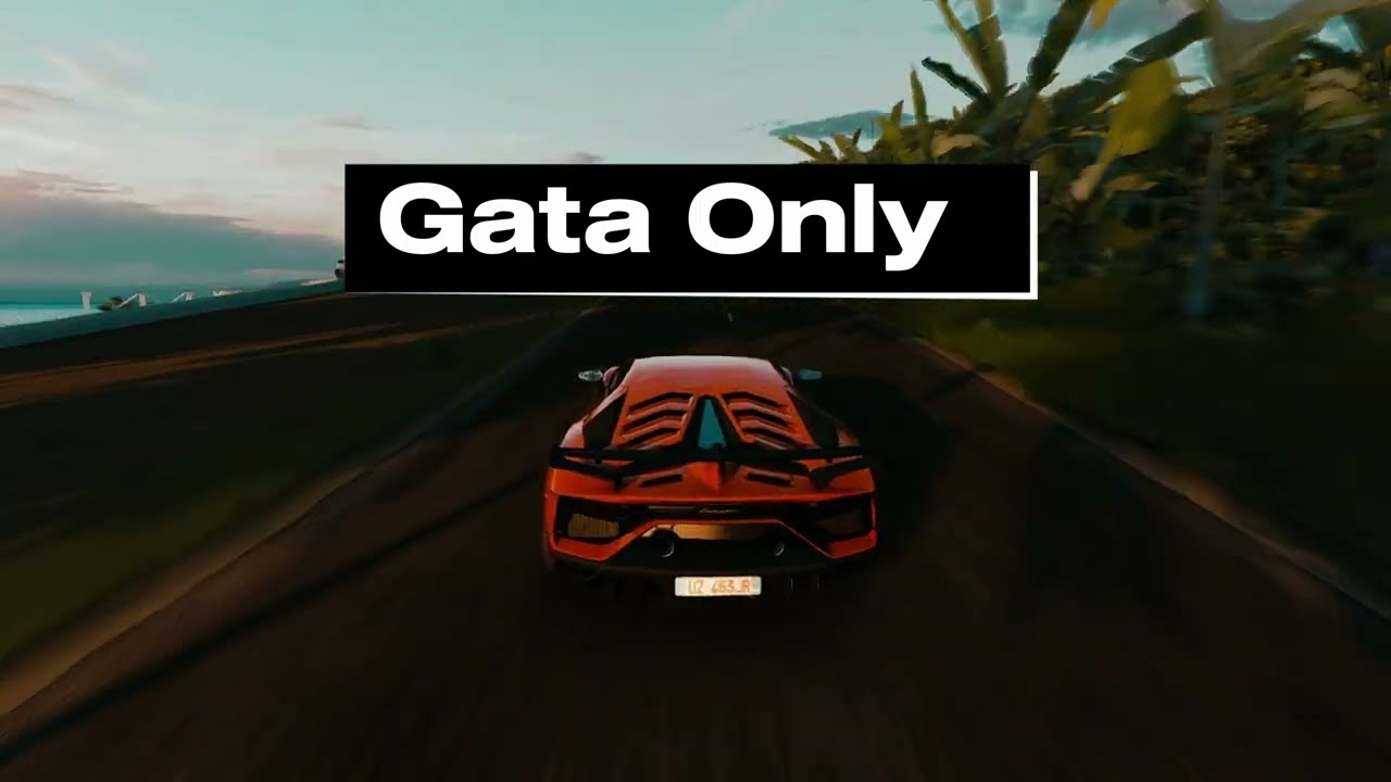 Gata Only - Slowed + Reverb - Lyrics - Cris mj + FloyyMenor