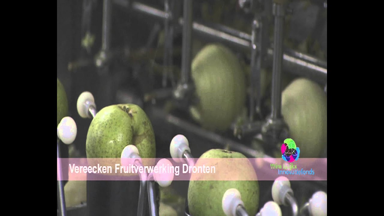 Automatisch schillen en verpakken van handperen. Wim Luijkx innovatiefonds 2009
