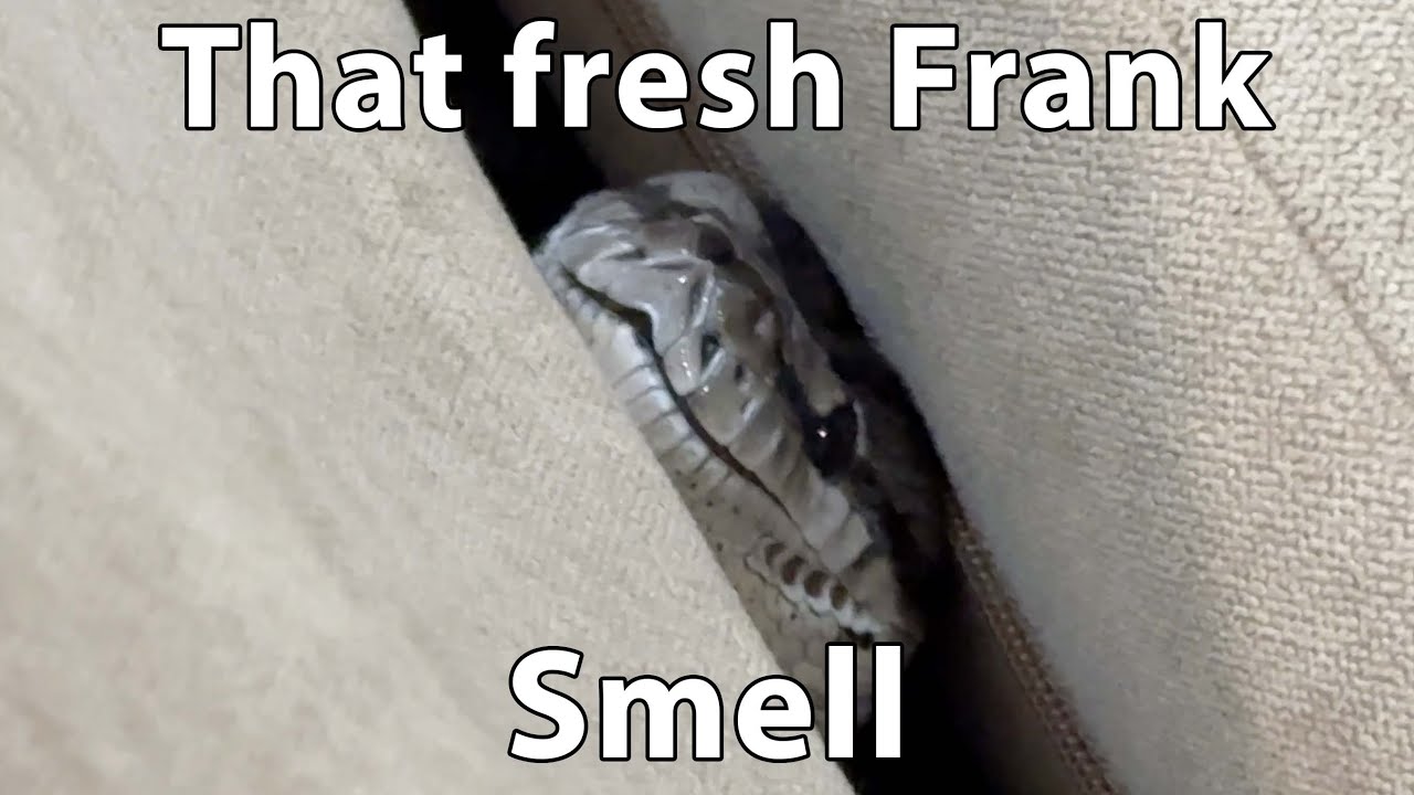After Show: Frank shed her skin.