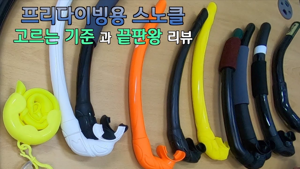 프리다이빙 스노클 고르는법(+ 걸 사무라이 스노클 리뷰)