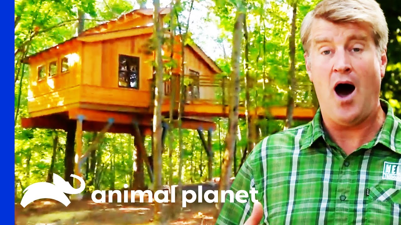 Pete Builds A Treehouse In This Gorgeous Nature Preserve! | Treehouse Masters