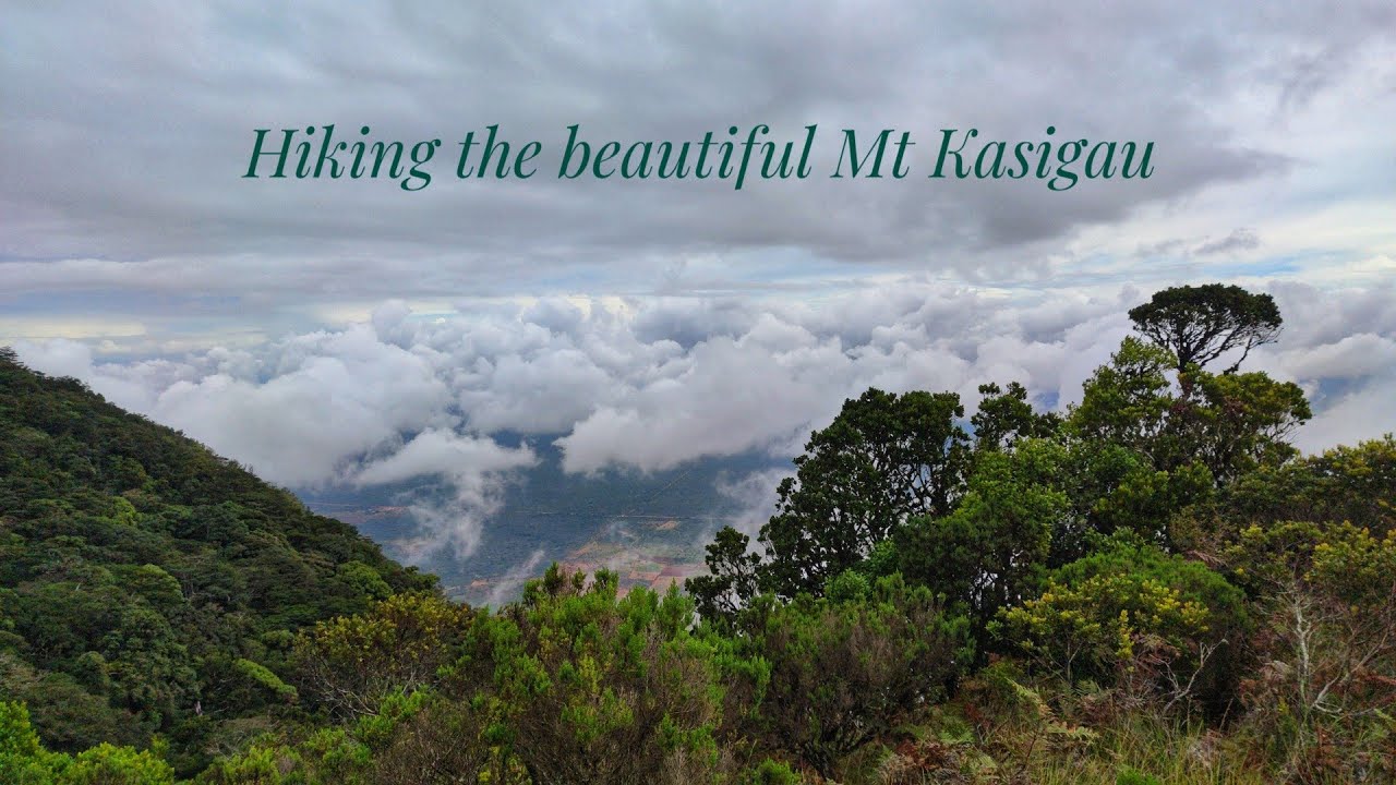 Hiking Mt Kasigau, the most beautiful rainforest in Kenya ✨