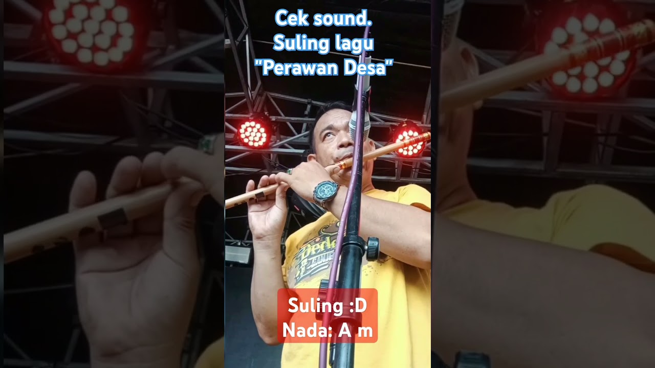 Cek Sound Fortuna one #tutorialsuling