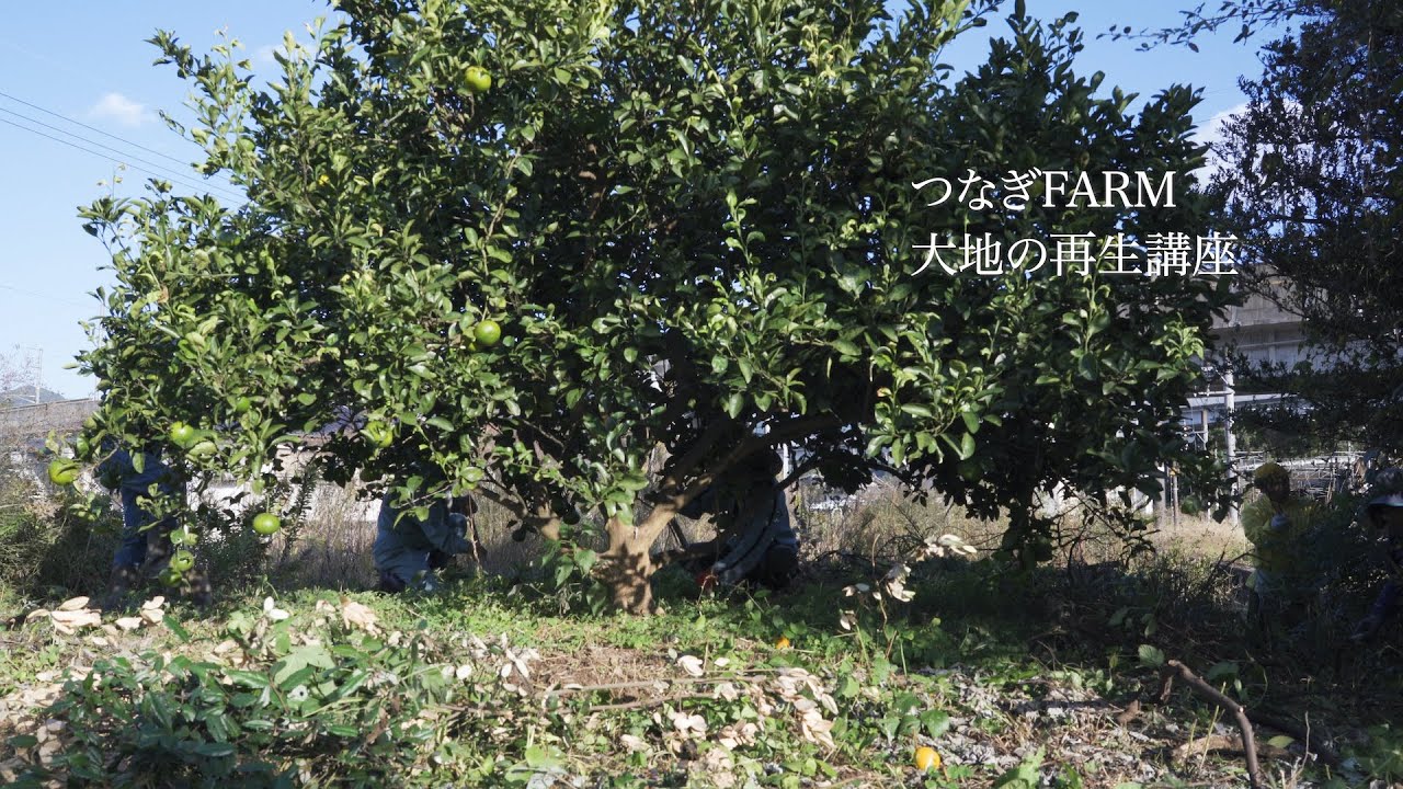 つなぎFARM 大地の再生講座