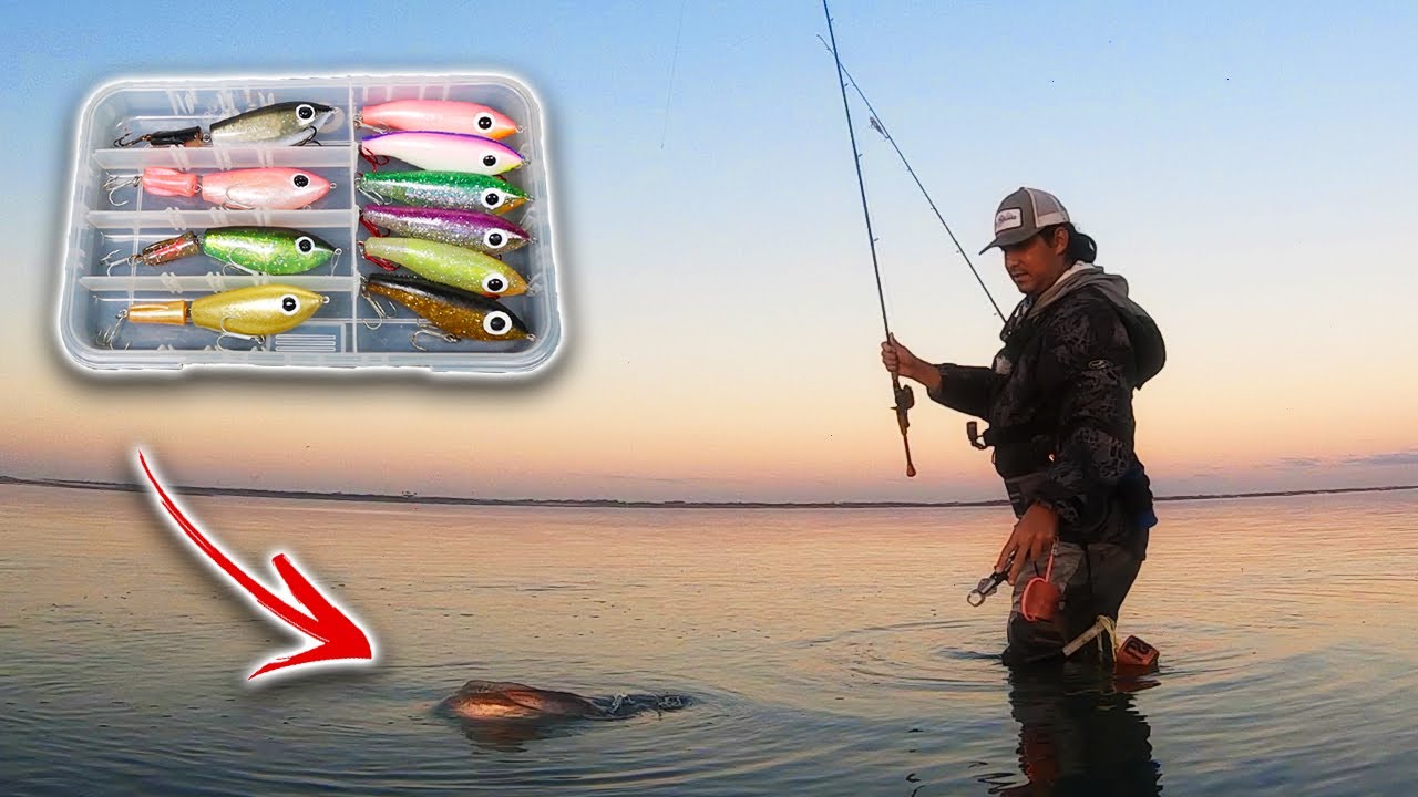 What Is The BEST Color Paul Brown Corky For GIANT Trout! (I GOT ONE!) Does Lure Color Really Matter?