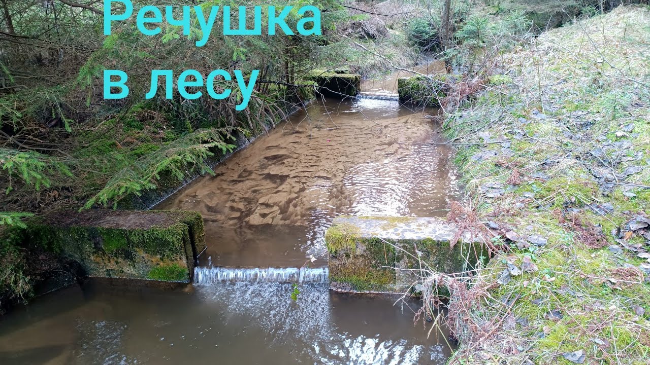 Совсем нет  воды.#olinacz #германия #чехия #вода #germany #nature #amazing 