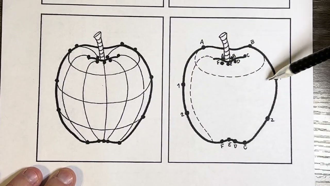 Cross Contour Video 1